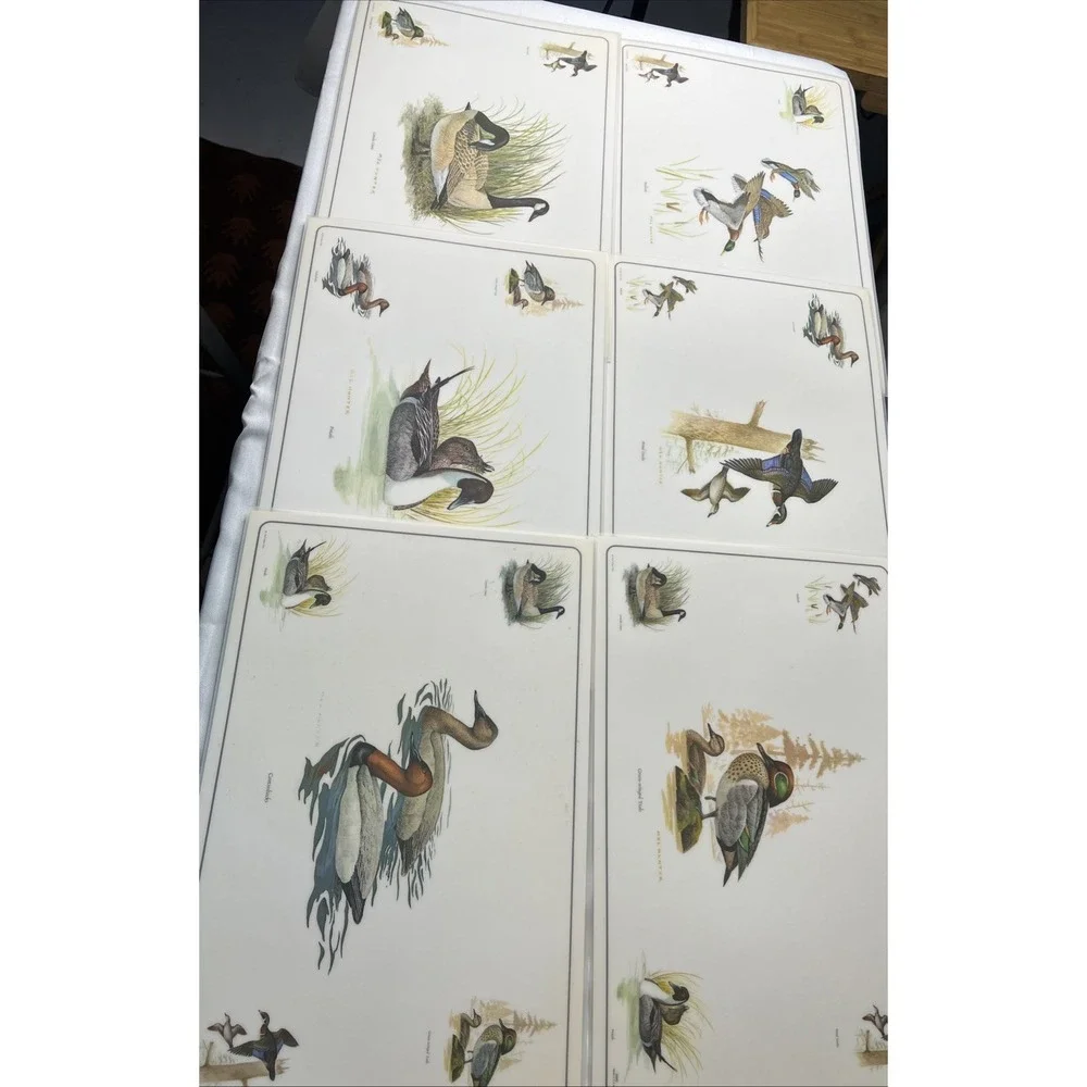 6 Vtg 1969 Placemats & Descriptions Mel Hunter Ducks Mallard Winged Teal 17x11